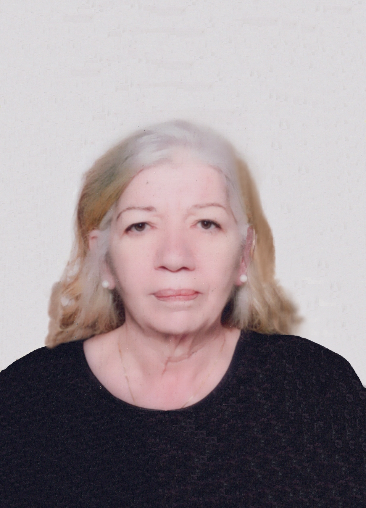 VAVASSORI
