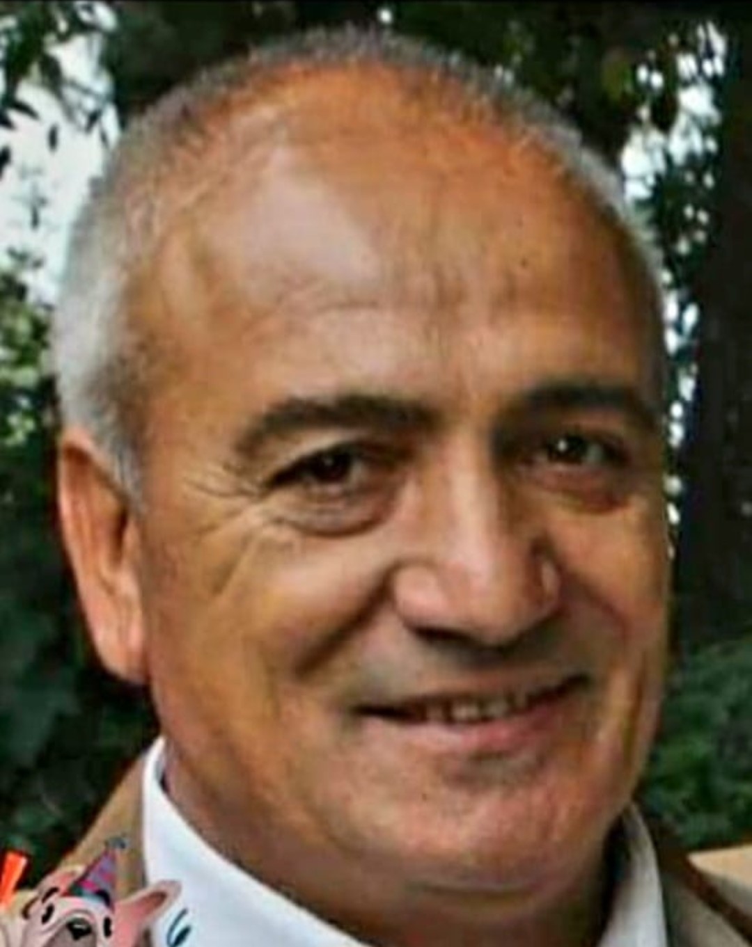 MORREALE
